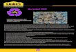 Recycled CMU - innovativeblock.com · Recycled CMU LEED Information for Lowe’s Concrete Masonry Units (CMU's) ... Environmental Quality and Innovation. We congratulate you on your