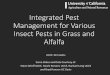 Integrated Pest Management for Various Insect Pests in ...cesiskiyou.ucanr.edu/files/275639.pdf · Integrated Pest Management for Various Insect Pests in Grass and Alfalfa UCCE-Tom