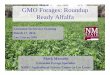 GMO Forages: Roundup Ready Alfalfaaces.nmsu.edu/ces/plant_sciences/documents/Marsalis_In... · 2016-03-21 · Roundup Ready alfalfa st and removal prior to no-till corn1 (From: Dillehay,