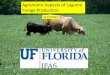 Agronomic Aspects of Legume Forage Productionanimal.ifas.ufl.edu/.../2010/docs/wright.pdf · perennial that takes less management after establishment (intensive management) • Soybean-annual
