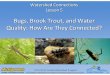Bugs, Brook Trout, and Water Quality: How Are They Connected? · bioindicators of stream health? ... Microsoft PowerPoint - Watershed Connections Lesson 5_Bugs Brook Trout and Water