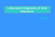 Laboratory Diagnosis of Viral Infections · Five Main Techniques: •Virus Culture and Isolation •Serology ... (Virology Laboratory, New-Yale Haven Hospital) Rapid Detection of