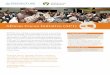 African Cocoa Initiative (ACI) Cocoa... · WCF, cocoa industry members, the Sustainable Trade Initiative (IDH) and U.S. Agency for International Development through its Global Development