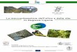 La meccanizzazione dell’olivo e della vite in Regione Liguria · Objectif général du project : favoriser le développement conjoint de l’inno Àation et de l’esprit d’entreprise