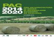 PER UN’AGRICOLTURA IN GRADO DI RICONCILIARE ECONOMIA … · 5 Diversificare è la base di una nuova politica per l’agricoltura, il cibo, la biodiversità e l’economia locale