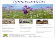Opportunitieslearnsustainnature.weebly.com/.../22418952/opportunities.pdf · 2019-05-12 · Internship Internship Wildlife Research and Conservation Society(WRCS) 1A, Shriyog Housing