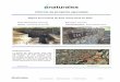 Informe de proyecto ejecutado - naturalea.eu ·  info@naturalea.eu (+34) 937 301 632 1 de 6 Informe de proyecto ejecutado Mejora de la fuente de Sant Josep Oriol en Rubí