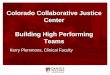 Colorado Collaborative Justice Center Building High ... · Colorado Collaborative Justice Center Building High Performing Teams Kerry Plemmons, Clinical Faculty. ... (Strategy x Execution
