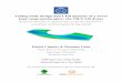 Lifting body design and CFD analysis of a novel long range ...1083258/FULLTEXT01.pdf · The process designing and analyzing the lifting body up to the results requires four steps