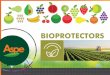 en aa brochure bioprotectors - Aspe Crop Nutrition ... · preventive and curative way, by inhibiting the development of spore germination, inhibition of mycelial growth and expansive