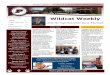 Wildcat Weekly - Palestine Independent School Districtpalestineschools.org/.../Wildcat-Weekly-Vol-6-Issue-6.pdf · 2017-09-29 · Page 3 Wildcat Weekly Volume 6: Issue 6 Palestine