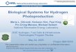 Biological Systems for Hydrogen Photoproduction (Presentation) · Biological Systems for Hydrogen Photoproduction Maria L. Ghirardi, Kwiseon Kim, Paul King, Pin Ching Maness, Michael