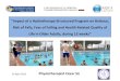 Impact of a Hydrotherapy Structured Program on Balance .... Sá... · “Impact of a Hydrotherapy Structured Program on Balance, Risk of Falls, Fear of Falling and Health Related
