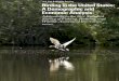 U.S. Fish & Wildlife Service Birding in the United …files.ctctcdn.com/72003b0e001/ad38409e-f21e-4e90-a29d-d...U.S. Fish & Wildlife Service Birding in the United States: A Demographic