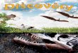Discovery • March 2014 be surprised to learn that flying birds, insects, and mammals once shared the sky with flying reptiles. Flying reptiles, known as pterosaurs, were some of