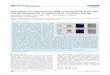 Gemcitabine and Antisense-microRNA Co-encapsulated PLGA ...tmil.stanford.edu/content/dam/sm/tmil/publications/2016-2017/Gemcitabine and Antisense...Gemcitabine and Antisense-microRNA
