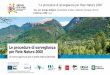 Le procedure di sorveglianza per Rete Natura 2000” · Workshop «Le procedure di sorveglianza per Rete Natura 2000» –Milano, 05/11/2019 TITOLO PRESENTAZIONE Relatore “Le procedure
