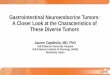 Gastrointestinal Neuroendocrine Tumors: A Closer Look at ... · Gastrointestinal Neuroendocrine Tumors: A Closer Look at the Characteristics of These Diverse Tumors. Jaume Capdevila,