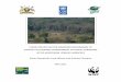 TO SUSTAINABLE MANAGEMENT OF FOREST CORRIDORS MU …s3.amazonaws.com/...financing_mechanisms_-_final_printed_BRIqX.… · ‘conservation of biodiversity in the Albertine rift forests