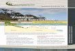 Zonation and Succession - Coastal Restoration Trust of New ... · Article No. 2.4 Zonation and Succession Zonation tends to reflect variations in key stressors in the physical environment