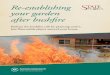 Re-establishing your garden after bushfire · Re-establishing your garden after bushfire Reduce the bushfire risk by planting native, ... daunting and there are lots of things to