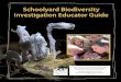 Schoolyard Biodiversity Investigation Educator Guide...Schoolyard Biodiversity Investigation Educator Guide A Project of the Association of Fish and Wildlife Agencies’ North American