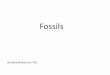 Fossils - Ms. Wolfe's Classroomsuperscienceteacher.weebly.com/.../fossils.pdf · •Fossils help scientists understand what past environments may have been like. •A fossil is the