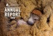 ANNUAL REPORT - Lemur Conservation Foundation · Collared Brown Lemur Mittermeier’s Mouse Lemur* Ring-tailed Lemur Sanford’s Brown Lemur White-fronted Brown Lemur* Vulnerable