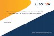 Business resilience in an SME context: A literature review · 2018-07-03 · 2 Business resilience in an SME context: A literature review Maria Wishart Enterprise Research Centre