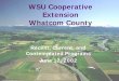 WSU Cooperative Extension Whatcom Countyext.wsu.edu/ce.cahe/talks/tour2/provostwhatcomoverview.pdf · Rod Blackshaw Head of Research University of Plymouth “The crane fly website