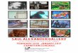 Saul Alexander Gallery - pressOmatic brochure 16 for... · 2016-02-08 · The Saul Alexander Foundation Gallery of the Charleston County Public Library provides space for juried art