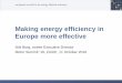 Making energy efficiency in Europe more effective · Making energy efficiency in Europe more effective • Coined “first fuel” as a concept • Lots of energy efficiency resources