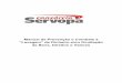 340 Lavagem de Dinheiro) - Servopa Volkswagenintranet.servopa.com.br/intranet/arquivos/manual1.pdf · 2011-05-17 · Áreas de Riscos As áreas de riscos potenciais de entrada de