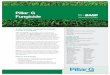 Pillar G Fungicide - Sunrise Coop€¦ · Pillar™ G fungicide is a combination of pyraclostrobin (the active ingredient in Insignia® fungicide) and triticonazole (the active ingredient