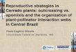Reproductive strategies in Cerrado plants: outcrossing vs ... · Reproductive strategies in Cerrado plants: outcrossing vs. apomixis and the organization of ... - guild of plants