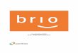 Handleiding BRIO PLW - Paperless Workflowmedia.portima.be/BRIO4YOU/Manuals/Manual/NL/MAN_BRIOPLW_201612.pdf1.2. Presentatie met meerdere tabbladen Binnen een enkele BRIO scherm beschikt