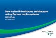 New Asian IP backbone architecture using Subsea cable systems · New Asian IP backbone architecture using Subsea cable systems NANOG48 22 February 2010. Combined Statistics. Construction