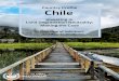 Profile Chile · Chile has committed to set a national voluntary LDN target, establish an LDN baseline,and formulate associated measures to achieve LDN. 3. 2. Population on Degrading