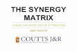 THE SYNERGY MATRIX - Coutts J&R · • Attribution doesn’t need to be quantitative • The synergy matrix is a powerful way of presenting findings • Negotiation is important between