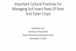Important Cultural Practices For Managing Soil Insect Pests Of Root And Tuber Crops · 2019-07-15 · Characteristics of Root and Tuber Crops Characteristics Cassava Potatoes Sweet