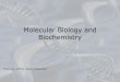 Molecular Biology and Biochemistry - unisi.it Molecular Biology and Biochemistry 1 ¢â‚¬“Courtesy of Prof