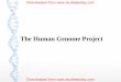 The Human Genome Project - studiestoday.com...The Human Genome Project Began in 1990 • The Mission of the HGP: The quest to understand the human genome and the role it plays in both