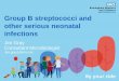 Group B streptococci and other serious neonatal infections · neonatal bacterial infections • RCOG Green-top Guideline No. 36. Group B Streptococcal Disease, Early-onset - Published: