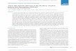 Cancer Research Tumor Site Specific Silencing of NF-κB p65 by … · blockage of the initial siRNA interaction with the RNA-induced silencing complex (7, 8). However, these techniques