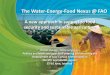 The Water-Energy-Food Nexus @ FAO · Huge Nexus Challenge in the future Water-Energy-Food Nexus: 60% more food by 2050 – mostly from yield increase – hence a lot more energy,