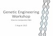 Genetic Engineering Workshop - 2015.igem. · PDF file Genetic Engineering •Modifying characteristics of an organisms by manipulating its genetic material Bacteria Virus Fish Even