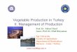 TRENDS & CONSTRAINS IN VEGETABLE PRODUCTION IN ALBANIAbalkanvegetables.eu/files/stages_files/presentation11.pdf · Total protected cultivation has reached to 54 215.8 ha in 2008