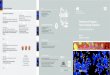Notburgastraße Prediction and Prognosis – 21 Future ... · Predictive Molecular Diagnosis of Alzheimer´s Dementia: Towards new Clinical Models for Preventive Treatment 11:45 –