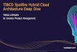 TIBCO Spotfire Hybrid Cloud Architecture Deep Dive...TIBCO Spotfire Hybrid Cloud Architecture Deep Dive Tobias Lehtipalo Sr. Director Product Management This document (including, without