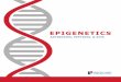 EPIGENETICS - rockland-inc.com · Epigenetics is the study of DNA, RNA, and protein modifications that do not involve changes in gene sequences. Epigenetic mechanisms are influenced